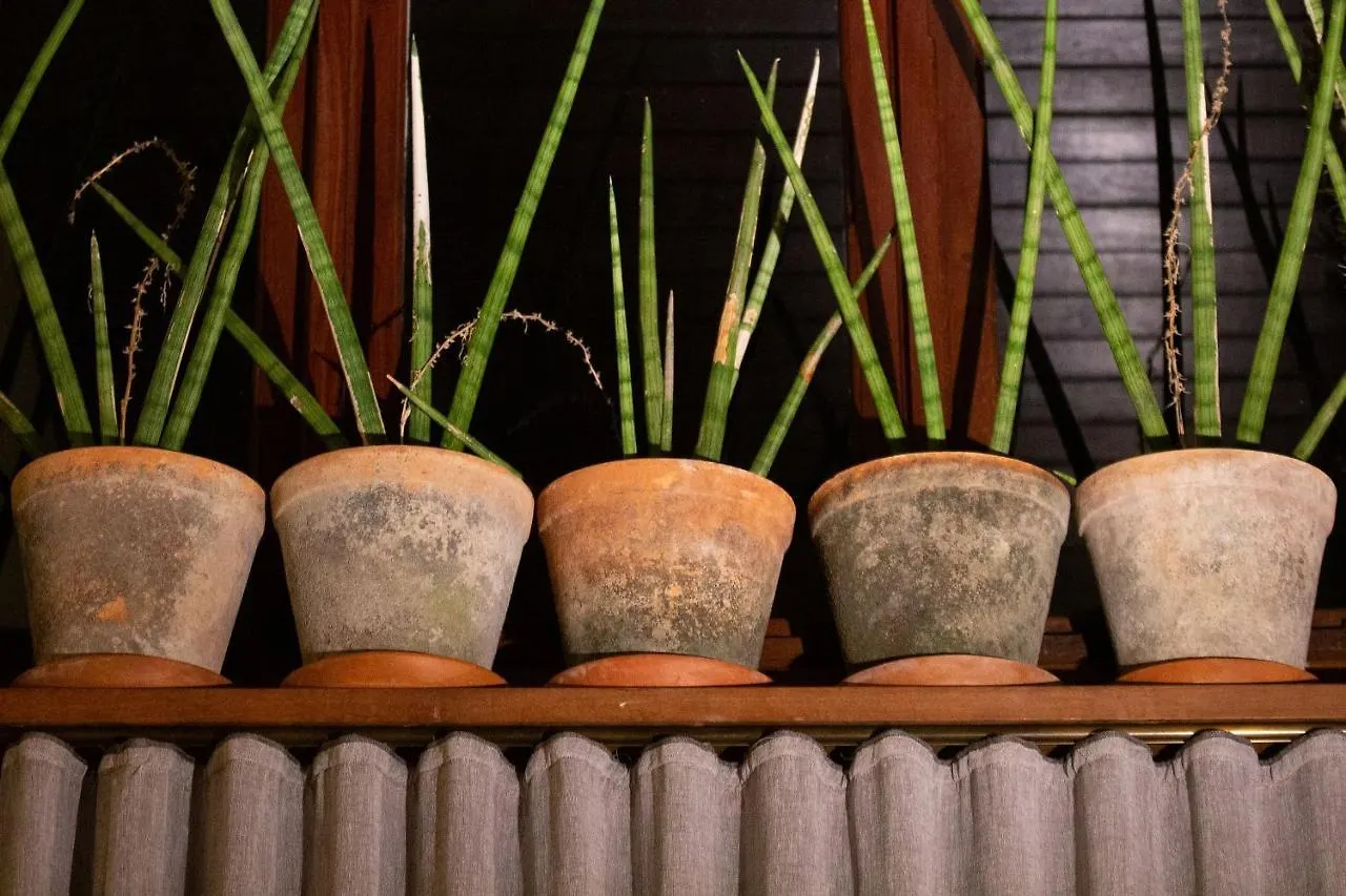 Maison d'hôtes O Vilarejo - Lagoa Da Conceicao Florianópolis
